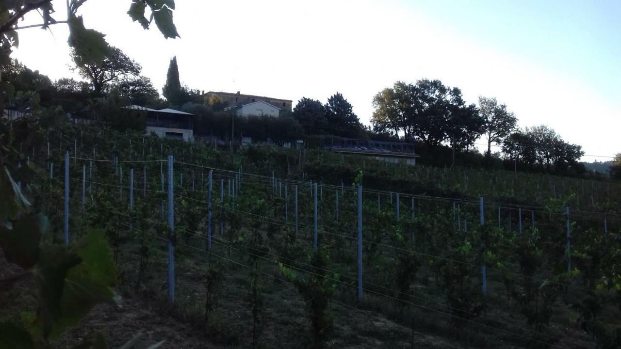 Camping Agriturist Sant'Anna Castelplanio Exterior foto